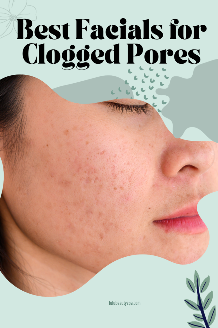 Best Facial for Clogged Pores Treatments that Unclog Skin Lulu Beauty Spa